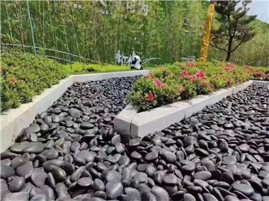 Ntuj Pob Zeb Pebbles rau Vaj